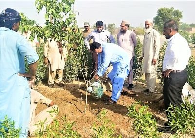 Clean Green Pakistan - Clean Green Multan Industrial Estate