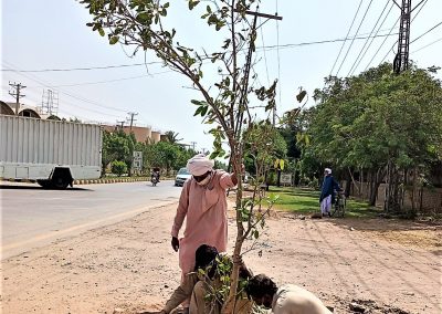 Clean Green Pakistan - Clean Green Multan Industrial Estate