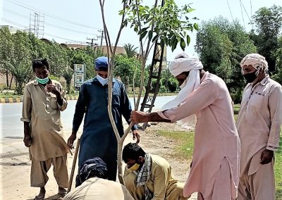 Clean Green Pakistan - Clean Green Multan Industrial Estate